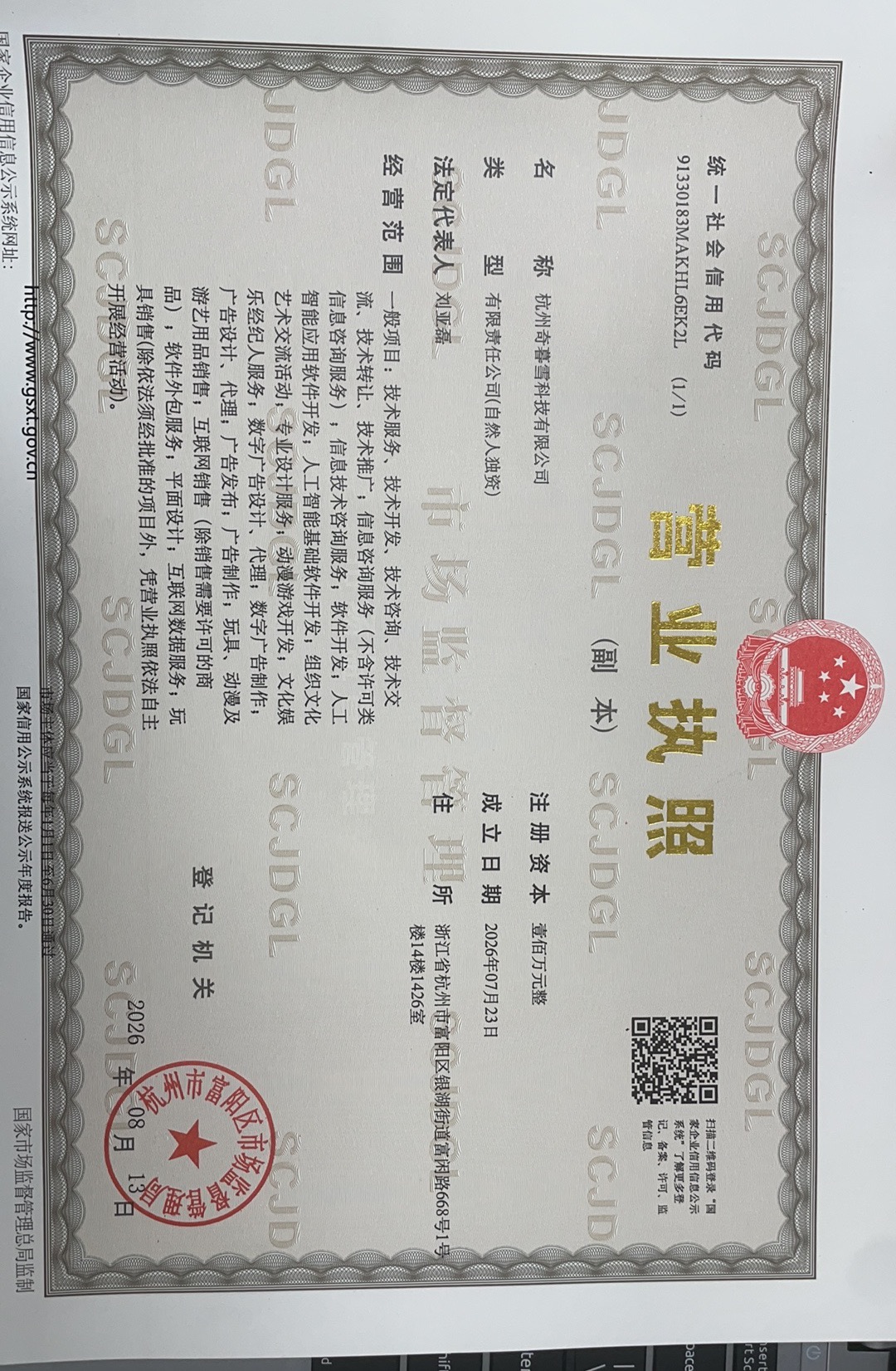 企业营业执照
